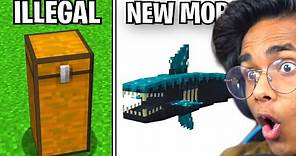 Minecraft's Most Unknown Secrets... (Things You Didn't Know)