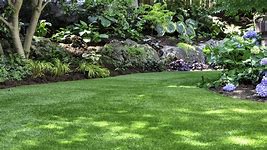 The Best Time to Plant Grass Seed for a Greener Lawn