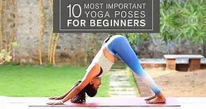 Beginners Yoga Series: 10 Most Important Yoga Poses for Beginners
