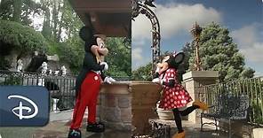 Disneyland Resort & Walt Disney World | A Tale of Two Disney Parks