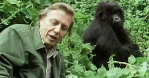 Sir David Attenborough - The story behind Life on Earth - BBC