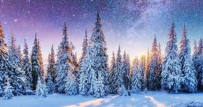 Peaceful Instrumental Christmas Music: Relaxing Christmas music "The Christmas Pines" Tim Janis