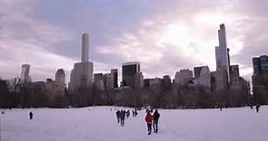 Les Français à New York