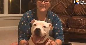 Pit Bull With Cancer Gets Spoiled For The First Time In Her Life | The Dodo