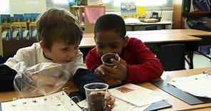 First Grade Science: STC™ - Planting Our Seeds