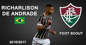 RICHARLISON | Fluminense | Goals, Skills, Assists | 2016/2017 (HD)