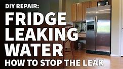 Fridge Leaking Water on Floor - How to Repair Refrigerator Leaking on Floor – Fridge Leaking Water