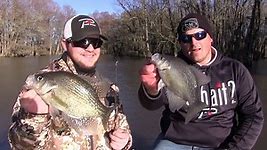 How to Catch Crappie in Pond