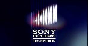 Sony Pictures Television Logo (2002)