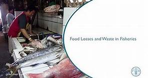 Food Losses and Waste in Fisheries
