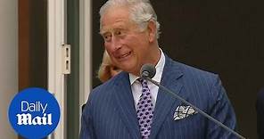 Moment Prince Charles speaks German at Embassy event in Berlin