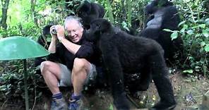 Touched by a Wild Mountain Gorilla: The Original