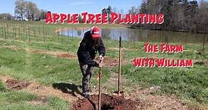 Apple Tree Planting - New Apple Orchard - The Farm with William