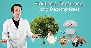 Producers, Consumers, and Decomposers - General Science for Kids!