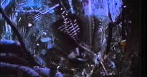 PREDATOR (1987) Con Arnold Schwarzenegger - Trailer Cinematografico