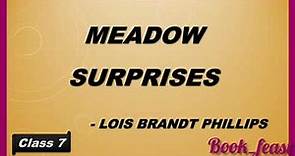 Meadow Surprises | Lois Brandt Phillips | poem | class 7 | @bookfeastSOWMYA | ncert | cbse | in Tamil