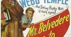 Mr. Belvedere, estudiante (1949) Online - Película Completa en Español - FULLTV