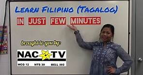 Easy Filipino (Tagalog) Lessons: Lesson 3 - Self Introduction, Jobs, Nationalities