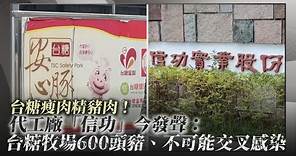【點新聞】獨/台糖瘦肉精豬肉！代工廠「信功」今發聲：台糖牧場600頭豬、不可能交叉感染