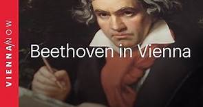 Ludwig Van Beethoven in Vienna I VIENNA/NOW Portrait