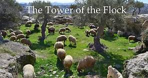 John Melancon describes the Tower of the Flock