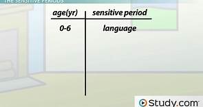 Sensitive Periods of Development | Definition & Examples