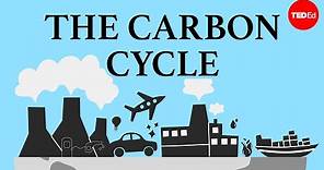 The carbon cycle - Nathaniel Manning
