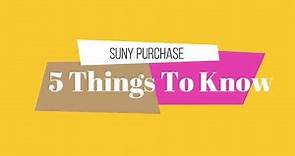 5 Things To Know (SUNY Purchase Style)