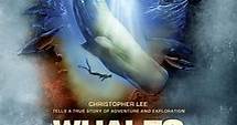 Where to stream Whales of Atlantis: In Search of Moby Dick (2003) online? Comparing 50  Streaming Services