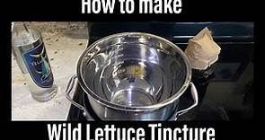 How to make wild lettuce tinture - Wild Lettuce (Lactuca virosa) - medinice sap - Raleigh Jones