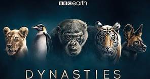 Dynasties: First Look Trailer | New David Attenborough Series | BBC Earth