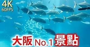 大阪No1景點 大阪海遊館 是新地附近最大的水族館，兒童大人都能享受到樂趣。 特別是有以鯨鯊為首的大大小小各種海洋生物，可以一飽眼福