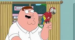 Family Guy's New Golden Age? - Season 21 Review