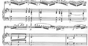 Franz Doppler - L'Oiseau des Bois, Op. 21