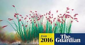 Sky Ladder: The Art of Cai Guo-Qiang review – jaw-dropping pyrotechnics