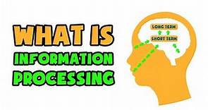 What is Information Processing | Explained in 2 min