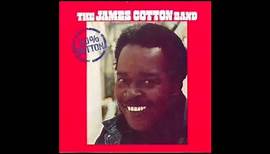 The James Cotton Band – Fever