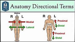 Anatomical Position and Directional Terms [Anatomy MADE EASY]