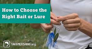 How to Choose the Right Bait or Lure for Fishing