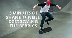 5 Minutes Of Shane O'Neill Destroying The Berrics