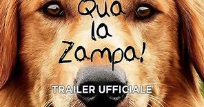 Qua la zampa! - Trailer italiano ufficiale [HD]