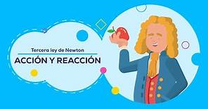 Tercera ley de Newton: Acción y reacción | Leyes de Newton