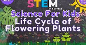 Life Cycle of Flowering Plants | Science For Kids | STEM Home Learning