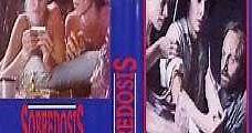 Sobredosis (1986) Online - Película Completa en Español / Castellano - FULLTV