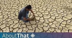 How global climate change affects Canadians | About That