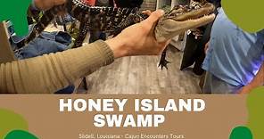 Honey Island Swamp: Cajun Encounters Swamp Tour - Slidell, Louisiana