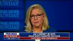 Rep. Liz Cheney: Trump 'breached' constitutional duty more than any previous president