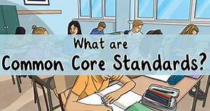 Understanding the Common Core State Standards | Guide to Common Core State Standards | CCSS | Twinkl