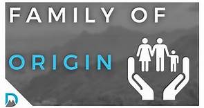 What is a Family Of Origin?