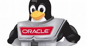 Oracle - What is Oracle? The products and services of Oracle.